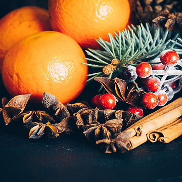 Cotati Food Service November