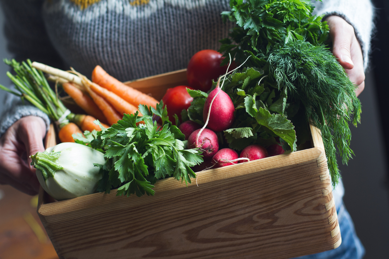 Fresh Vegetables From My Garden