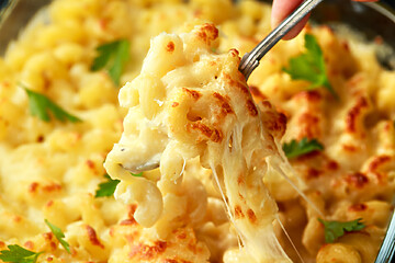 Macaroni Pasta And Cheese Bake With Creamy Bechamel Sauce